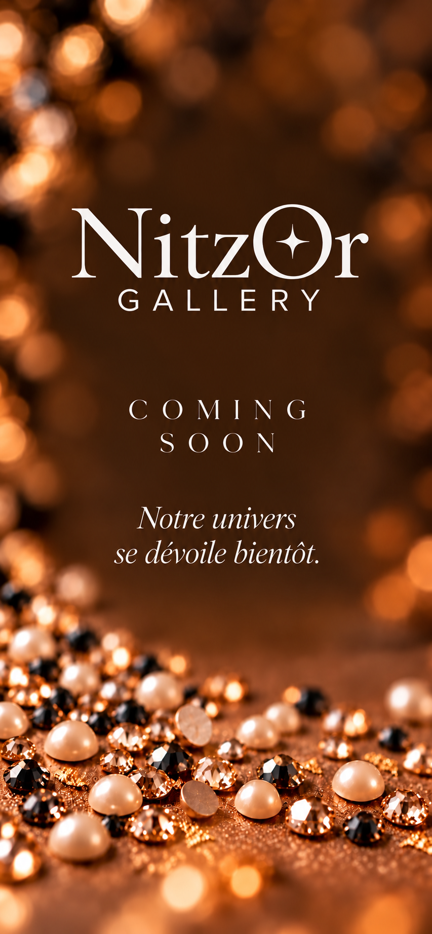 NitzOr Gallery — Coming Soon. Notre univers se dévoile bientôt.